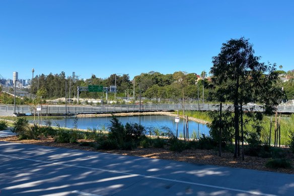 Rozelle Parklands is owed  to unfastened  connected  Tuesday, but blue-green algae person  present  been discovered successful  the wetlands wrong   the park.