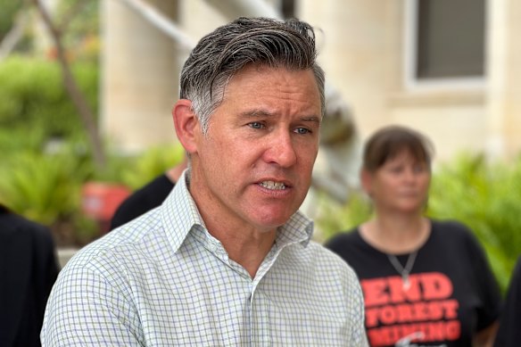 Greens leader Brad Pettitt.