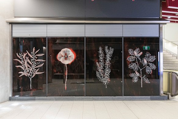 Intricate botanical drawings by Fiona Hall at Anzac Station.