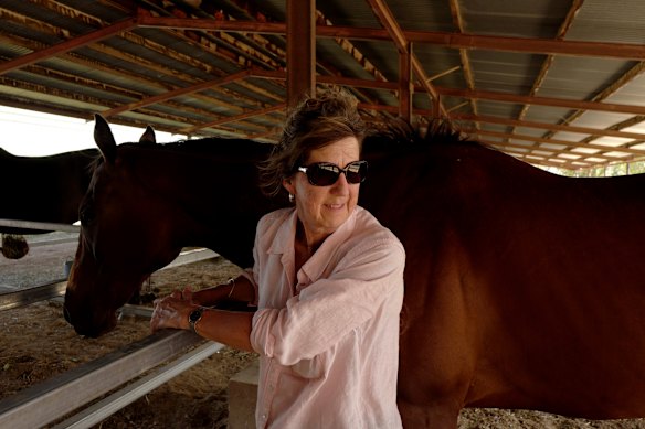 Julie King with her horses in Mansfield on Friday.