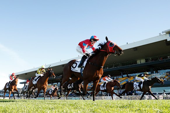 Knights Armour scored at Rosehill on Saturday.