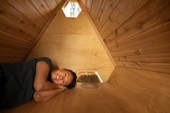 The huts include a viewing window so you can see the bees at work.