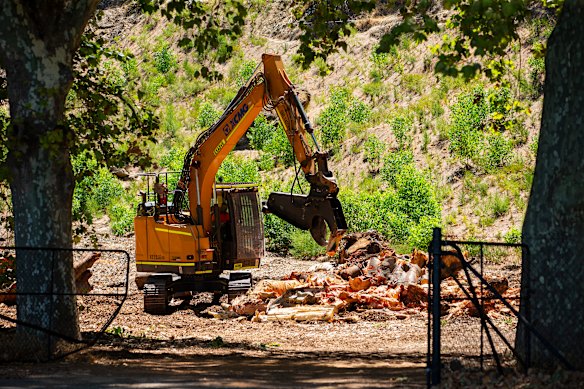 Work is wrapping up on the removal of 42 trees along the Mount Eliza escarpment in King’s Park.