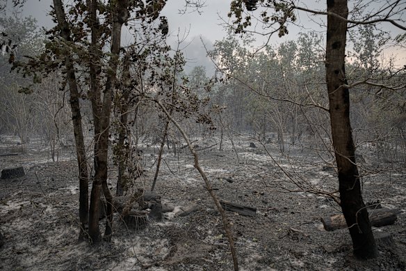 The spreading fires have burned more than 3400 hectares of forest in south-western France.