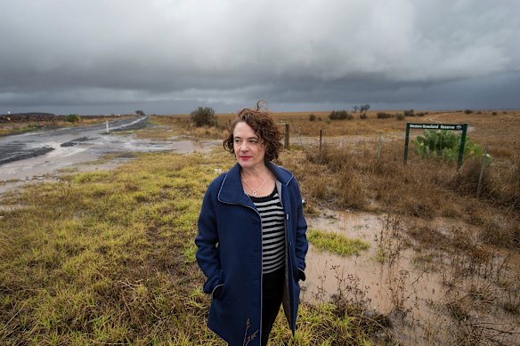Grasslands expert Sarah Bekessy on the badly neglected Western Grassland Reserve.