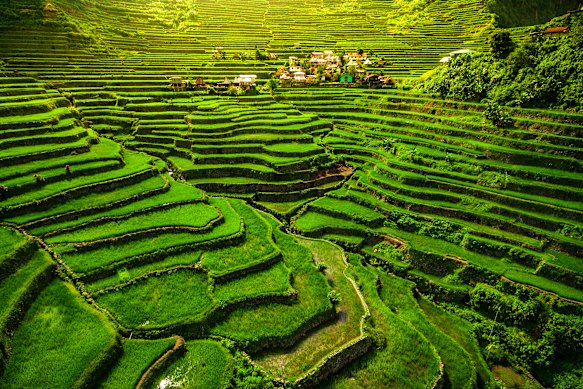 The 2000-year-old Banaue Rice Terraces.