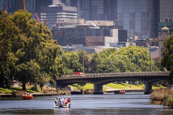 Spring has brought some quick changing weather - hot, then wet and windy all in one day. 