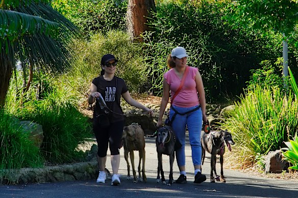 Melbourne researchers are studying a possible link between hay fever and thunderstorm asthma as the city’s pollen season, fuelled by grass and tree pollen, has been found to be  extending.