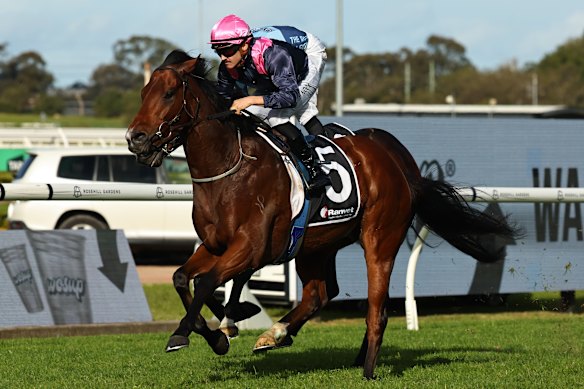 Braith Nock rides Mickey’s Medal to victory at Rosehill. He can easily continue on his winning way in race six.