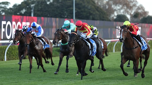 Pelosa (right) runs second to Piperita on the Kensington track at Randwick in April.