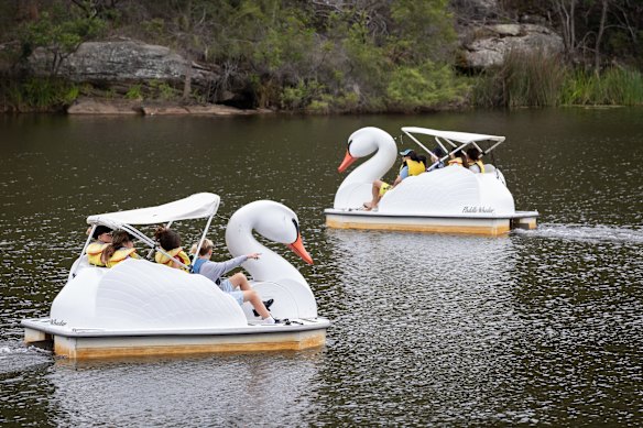 Families enjoying the swan pedal boats on Lake Parramatta, which have been popular for a number of years. 