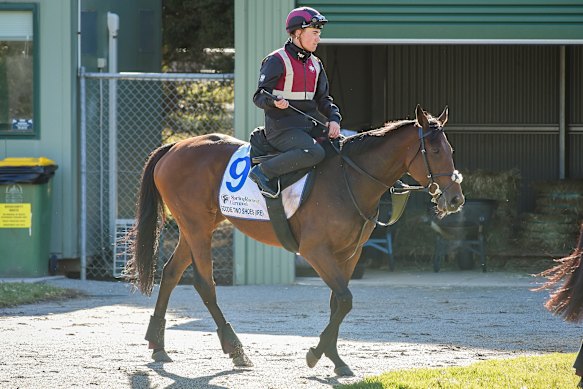 Goodie Two Shoes, the first JP McManus-owned horse to run in a Melbourne Cup, returning after working at Werribee with Shane Crosse in the saddle. 