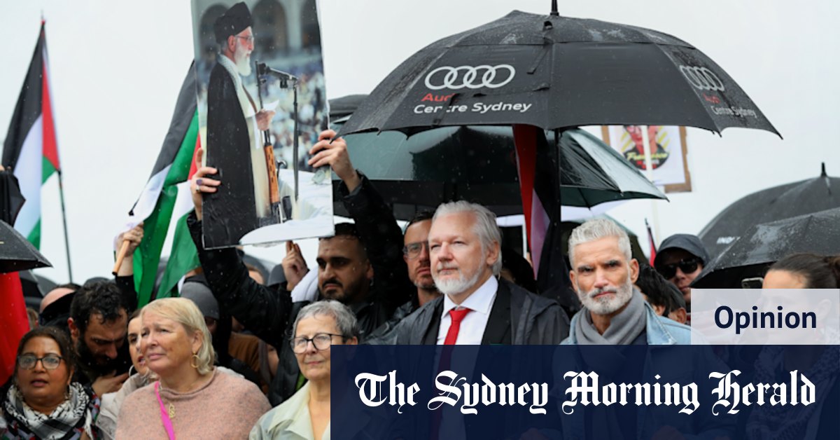 Public protests manipulated for propaganda