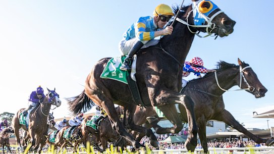 Gosford hosts an eight-race card on Thursday.