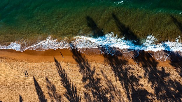 Newport Beach under the shadows of the Norfolk pines.