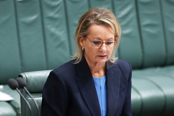 Sussan Ley, busily not going anywhere much?