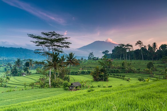 Morning breaks over paddy fields with Mount Agung, Bali’s sacred volcano, looming in the distance.