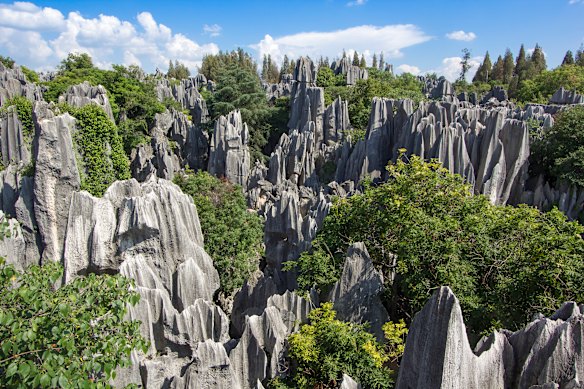 Stone Forest, within Shilin UNESCO Global Geopark.