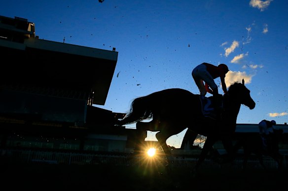They’re racing at Rosehill on Wednesday.