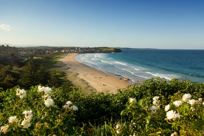 Kiama was a magnet for tree-changers in 2021.