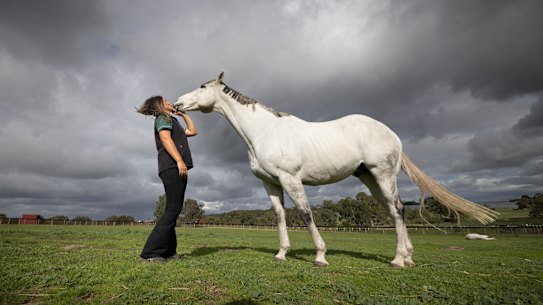 Veterinary nurse Molly Stewart with retired racehorse Chautauqua at Living Legends.