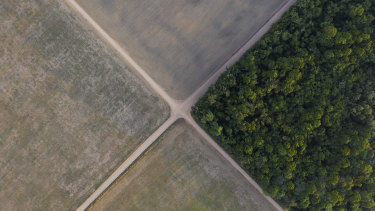 A section of Amazon rainforest stands next to soy fields in Belterra, Para state, Brazil. 