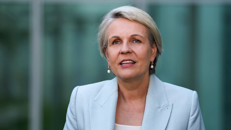 Social Services Minister Tanya Plibersek slams reality show for promoting ‘coercive control’