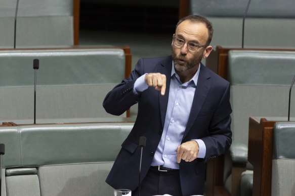 Greens leader Adam Bandt says Resources Minister Madeleine King is a “roadblock” to the government’s fuel efficiency standards.