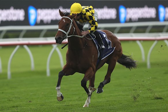 Autumn Glow stretches out on Saturday.