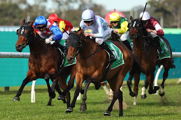 Red Rags To Bulls winning the Highway Handicap at Rosehill two weeks ago.