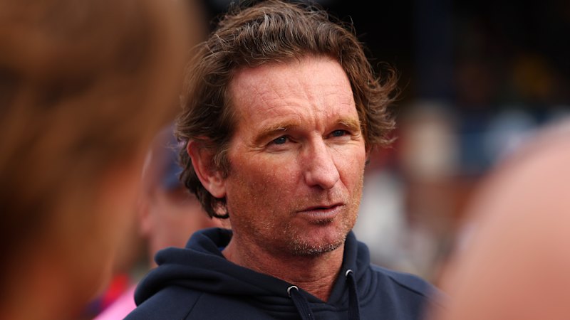 Why Eddie McGuire and Shane Crawford are behind Essendon Bombers great James Hird in his push to replace Brad Scott as coach