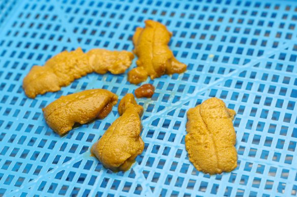 Sea urchins being processed in the kitchen at The Roe.