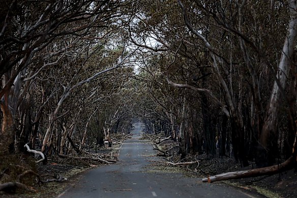 More than 400,000 hectares of public and private land has been destroyed this fire season. 