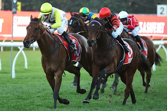 Jason Collett rides World Alliance (left) to victory at Randwick in August.