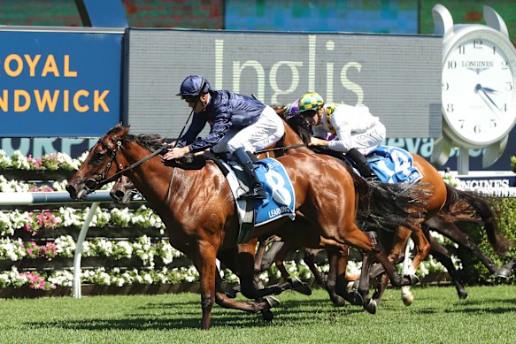 Chad Schofield rides Learning To Fly to victory in the 2023 Inglis Millennium at Randwick.