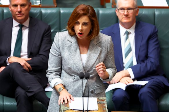 Communications Minister Anika Wells says online games pose fewer harms than social media platforms.