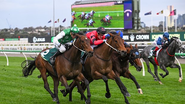 Engine Of War (red silks) was narrowly beaten at Flemington in September.