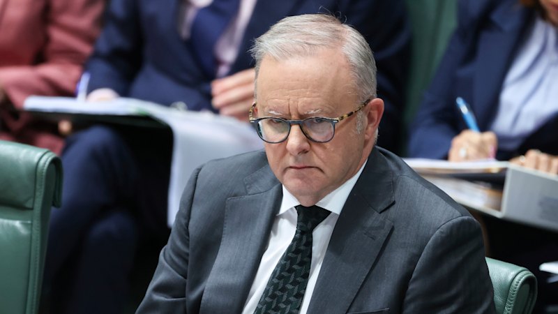 Albanese government divided over tech giants’ access to Australian content