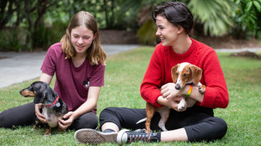 Dachshunds Charlie and Spencer were rescued from Storybook Farm.