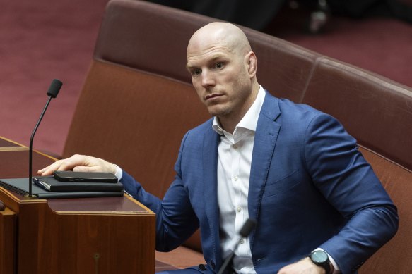 Independent senator David Pocock has led a push for a new windfall tax on gas exports.