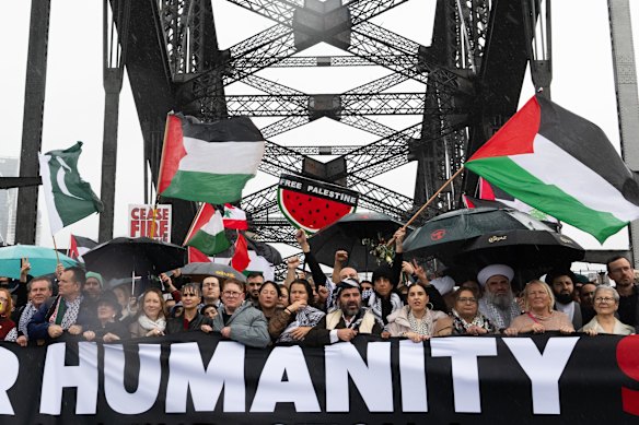 Protesters on the Sydney Harbour Bridge share a pro-humanity message.