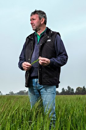 Grain farmer and Victorian Farmers Federation president Brett Hosking said   foreign investment must not undermine local farmers
