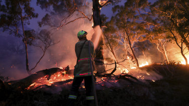 Online misinformation has become a feature of this unprecedented bushfire season.