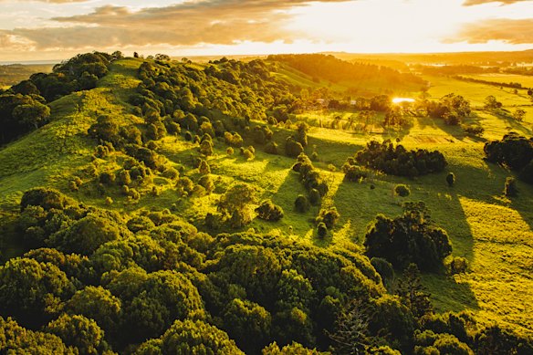 Head to Byron Bay’s hinterland for maximum calm.