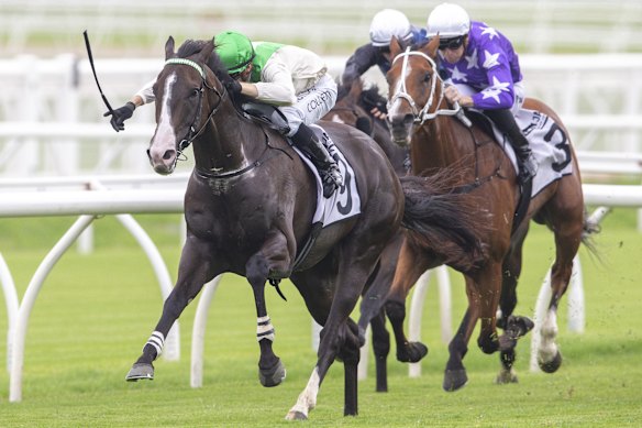 Jason Collett drives Cradle Mountain to victory in the 2020 Carrington Stakes.