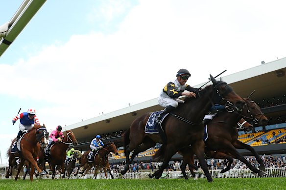 Nash Rawiller rides Here To Shock to victory over Gringotts in the Alan Brown Stakes at Rosehill last year.