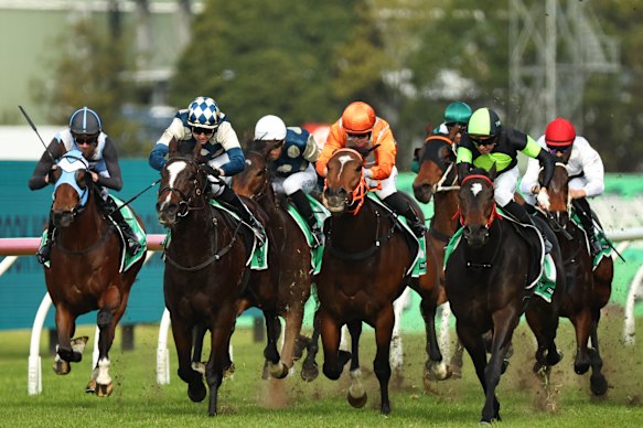 They will be off and racing at Rosehill on Saturday. 