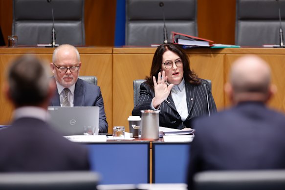 Senator Deborah O’Neill, who brought the scandal to light in March, questions KPMG executives at the hearing last week. 