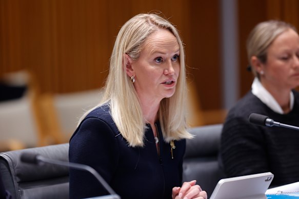 Chartered Accountants ANZ chief executive Ainslie van Onselen told the hearing it was unaware of the allegations until they became public in March.