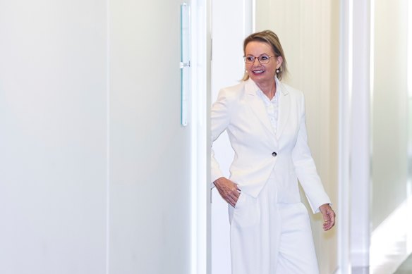 So long, Sussan, we hardly knew you